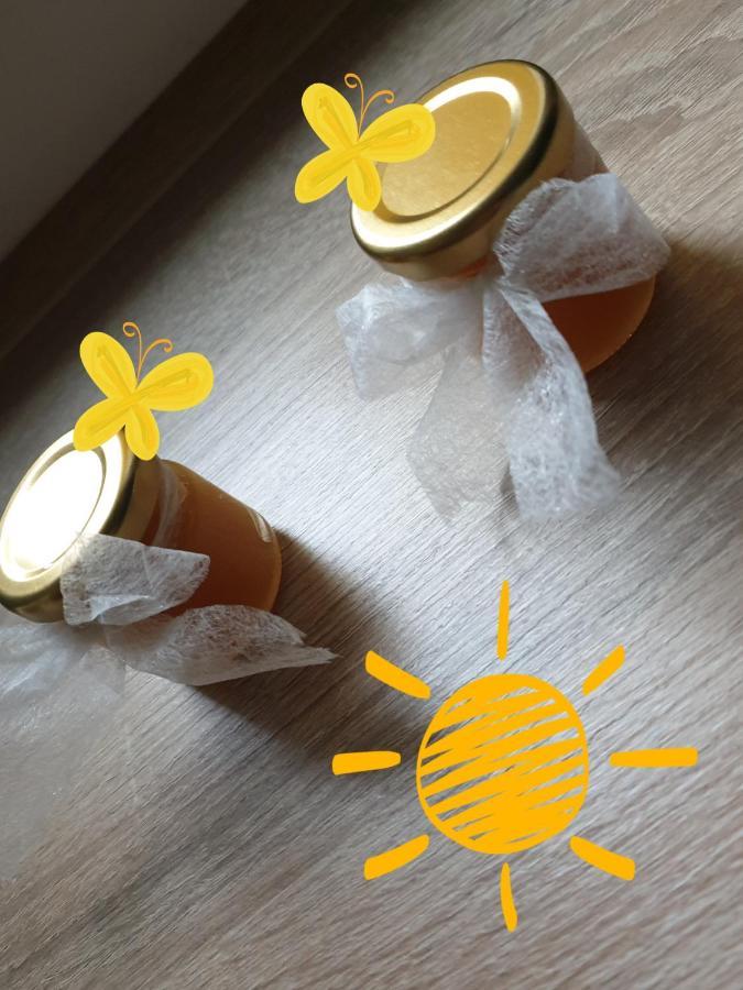 Sweet Honey Mieszkanie W Plockuアパートメント エクステリア 写真
